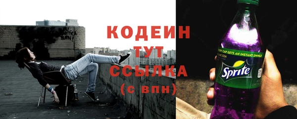 бошки Сатка