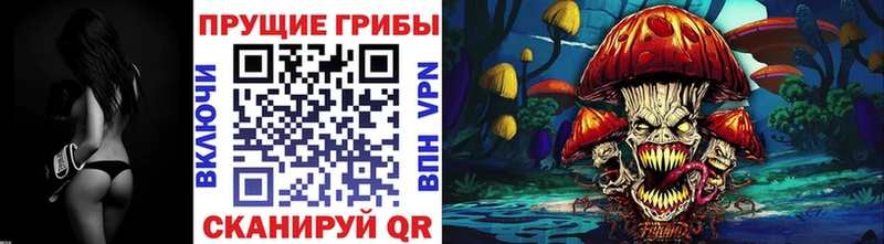 Псилоцибиновые грибы Cubensis  блэк спрут зеркало  Красный Холм 